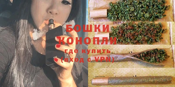 прущие крисы Вяземский