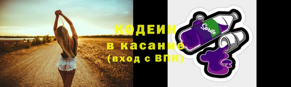 прущие крисы Вяземский